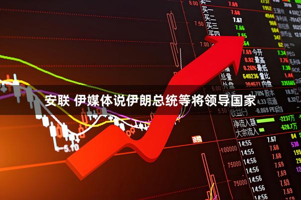 安联 伊媒体说伊朗总统等将领导国家