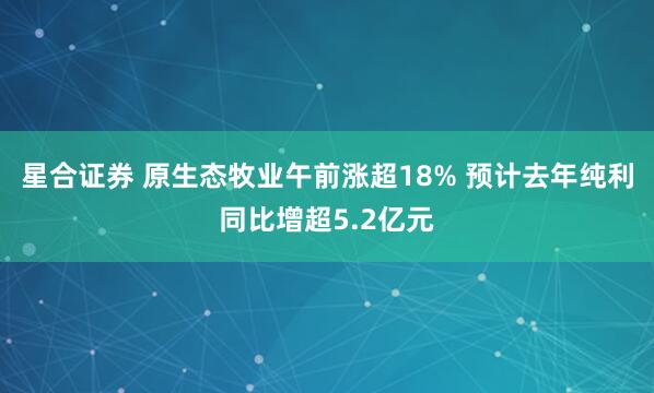 星合证券 原生态牧业午前涨超18% 预计去年纯利同比增超5.2亿元