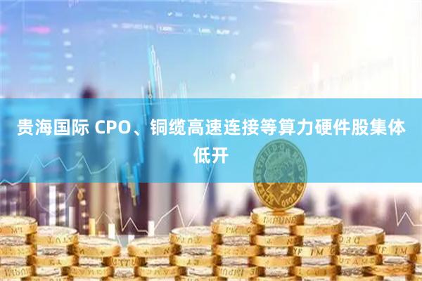 贵海国际 CPO、铜缆高速连接等算力硬件股集体低开