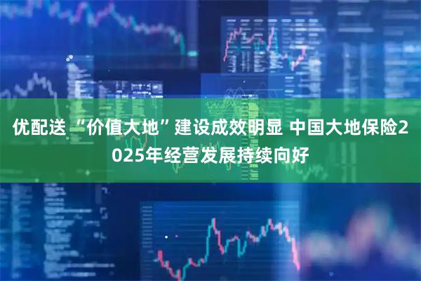 优配送 “价值大地”建设成效明显 中国大地保险2025年经营发展持续向好