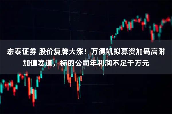 宏泰证券 股价复牌大涨！万得凯拟募资加码高附加值赛道，标的公司年利润不足千万元