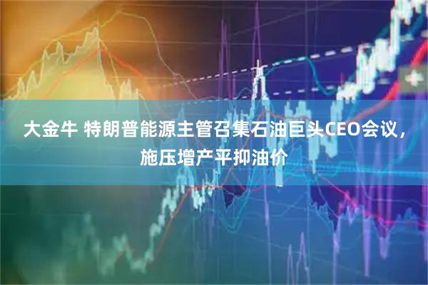 大金牛 特朗普能源主管召集石油巨头CEO会议，施压增产平抑油价