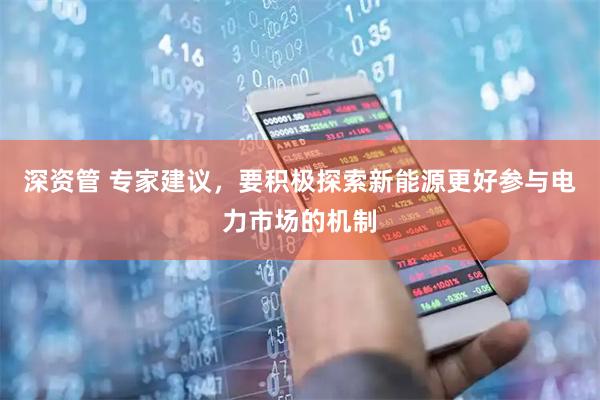 深资管 专家建议，要积极探索新能源更好参与电力市场的机制
