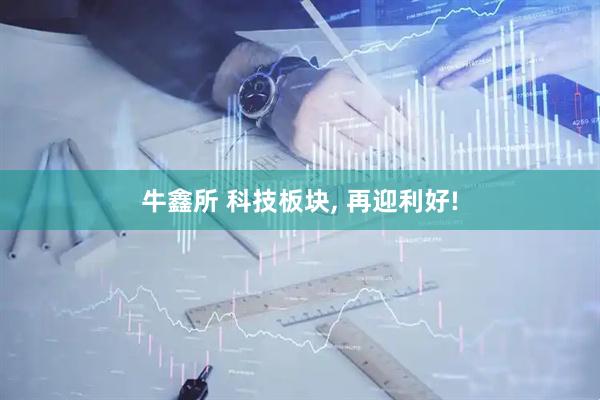 牛鑫所 科技板块, 再迎利好!