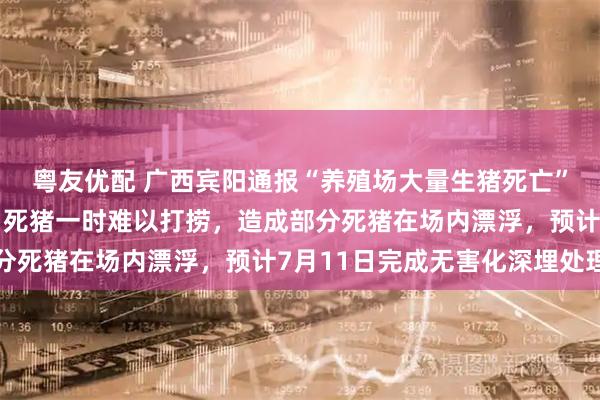 粤友优配 广西宾阳通报“养殖场大量生猪死亡”:积水过深无法通车,死猪一时难以打捞,造成部分死猪在场内漂浮,预计7月11日完成无害化深埋处理