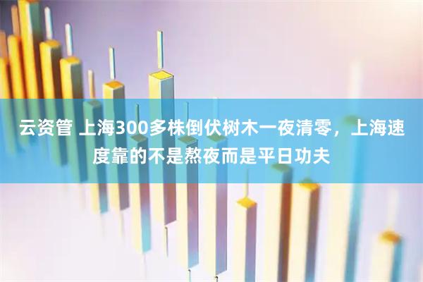云资管 上海300多株倒伏树木一夜清零，上海速度靠的不是熬夜而是平日功夫