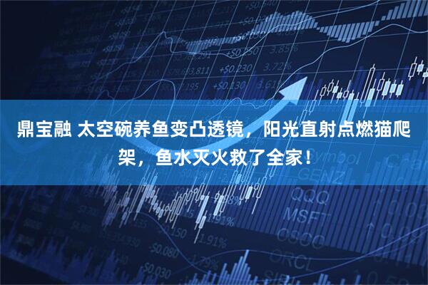 鼎宝融 太空碗养鱼变凸透镜，阳光直射点燃猫爬架，鱼水灭火救了全家！
