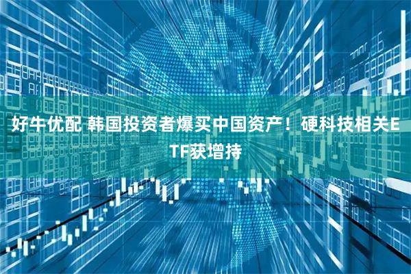 好牛优配 韩国投资者爆买中国资产！硬科技相关ETF获增持