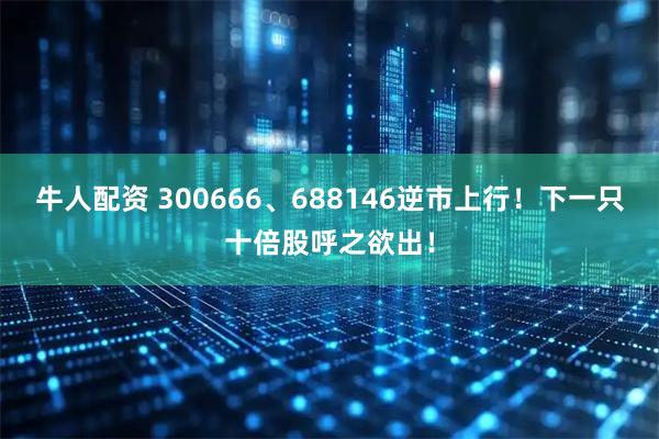 牛人配资 300666、688146逆市上行！下一只十倍股呼之欲出！
