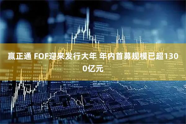 赢正通 FOF迎来发行大年 年内首募规模已超1300亿元