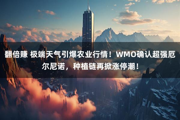 翻倍赚 极端天气引爆农业行情！WMO确认超强厄尔尼诺，种植链再掀涨停潮！